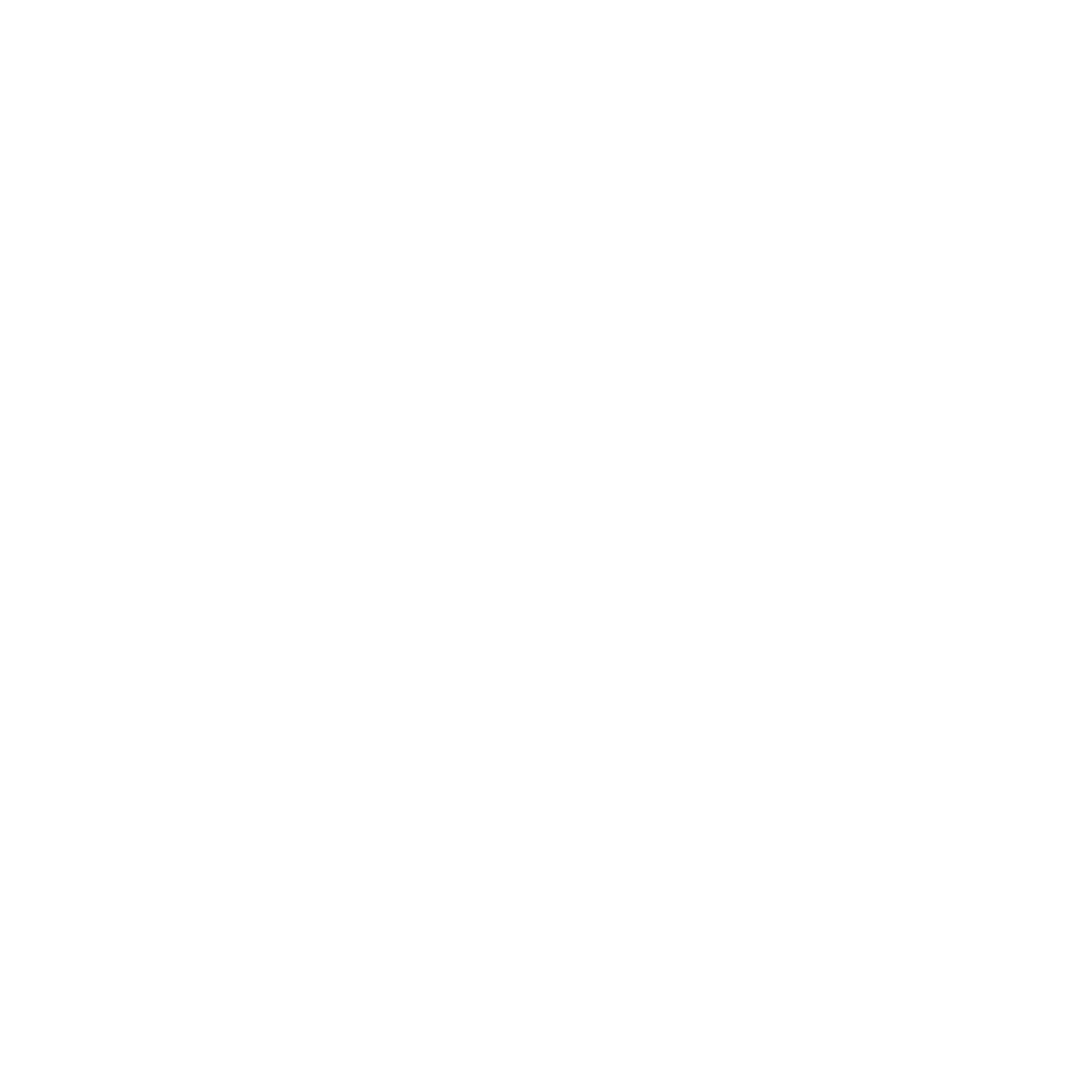 Icon IP-TV I AVsolutions